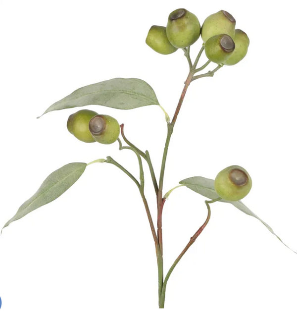 Florabelle - Gumnut Spray 65cm Green